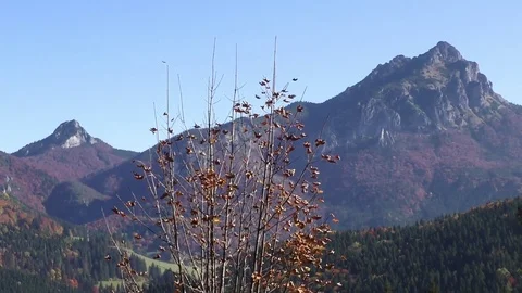 Veľký Rozsutec 스톡 동영상 83022602