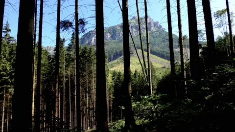 Veľký Rozsutec Stock Footage 147980071