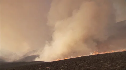 Veld fire Stock Footage 26618829