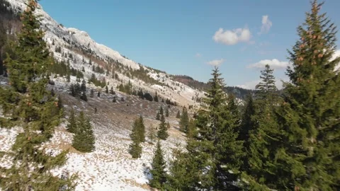 Velebit Lomska duliba through forest ungraded Stockbeeldmateriaal 273720153