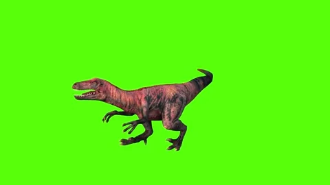 Velociraptor Attack Animation Green Scre... | Stock Video | Pond5