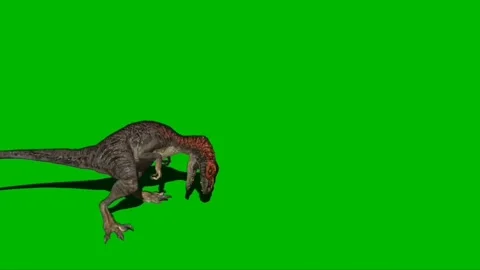 Velociraptor Attacking on Green Screen 0... | Stock Video | Pond5