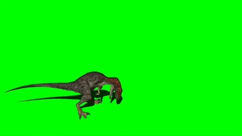 Velociraptor Attacking on Green Screen 08 스톡 동영상 220648585