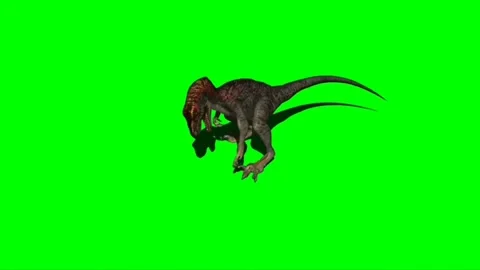 Velociraptor Attacking on Green Screen 09 Stock Footage 220648592