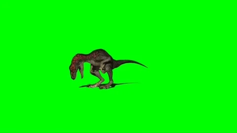 Velociraptor Attacking on Green Screen 10 Video stock 220648600