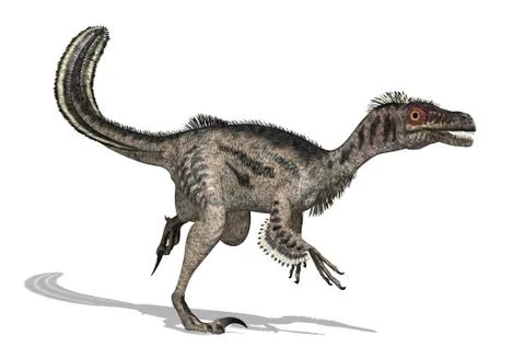 Velociraptor Dinosaur Stock Illustration