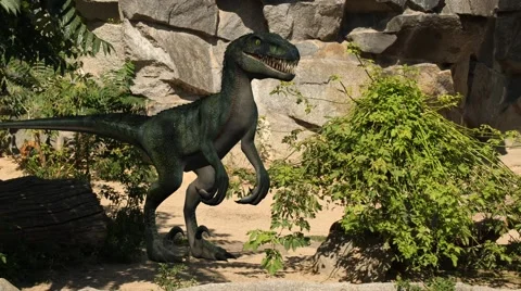 Velociraptor dinosaur in nature Stock Footage