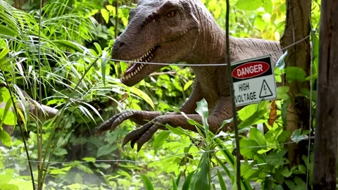Velociraptor Encounter Behind High Voltage Fence Stock Footage 314031465