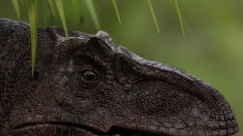 A velociraptor head. 3d animation a winking velociraptor Stock Footage 295380091