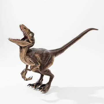 Velociraptor isolated on white Stock Illustration