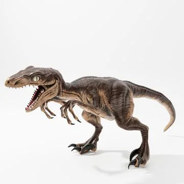 Velociraptor isolated on white Stock Illustration