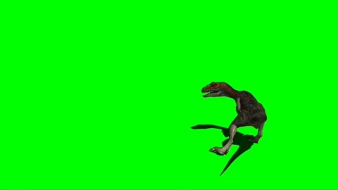 Velociraptor Roaring on Green Screen 04 | Stock Video | Pond5