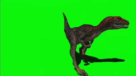 Velociraptor Roaring on Green Screen 06 Stock-Footage 220648532