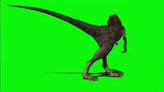 (4K) Velociraptor Running Across Screen 1