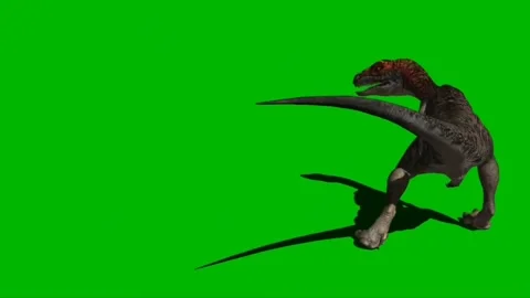 Velociraptor Roaring on Green Screen 09 | Stock Video | Pond5