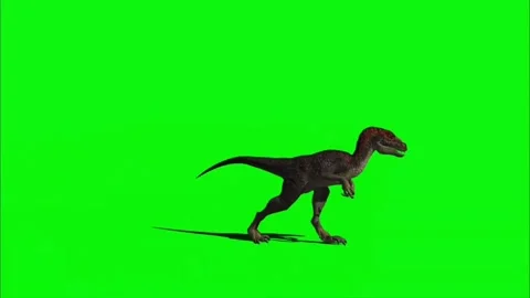 Velociraptor Walking on Green Screen 02 | Stock Video | Pond5