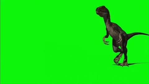 Animate Running Dinosaur Tyrannosaurus Rex 3d Stock Footage Video (100%  Royalty-free) 1012228994