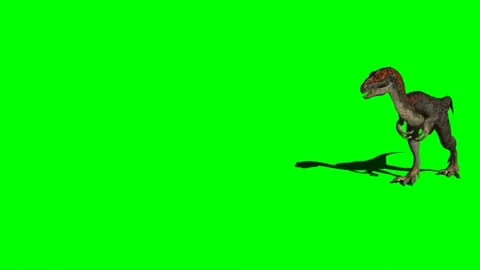 Velociraptor Walking on Green Screen 07 | Stock Video | Pond5