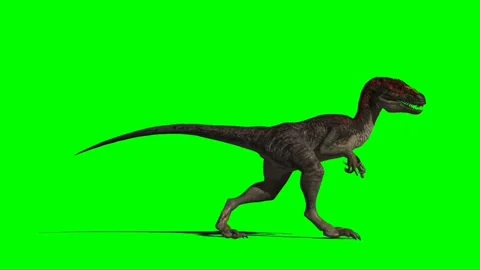 (4K) Velociraptor Running Across Screen 1