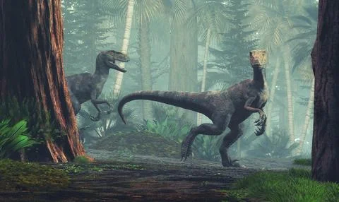 Velociraptor walking through the forest. This Dinosaur lived in the late Cr.. Stock Illustration