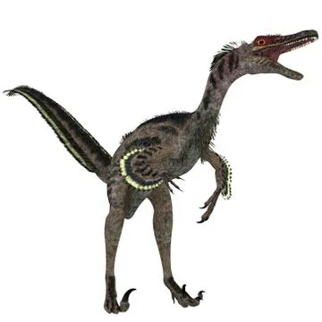 Velociraptor on white Stock Illustration