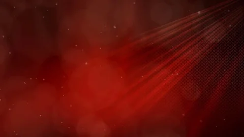 Velvet Beehive Looping Animation Stock Footage 73440981
