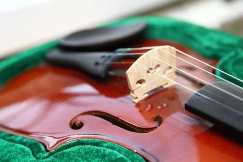 Velvet case Foto stock