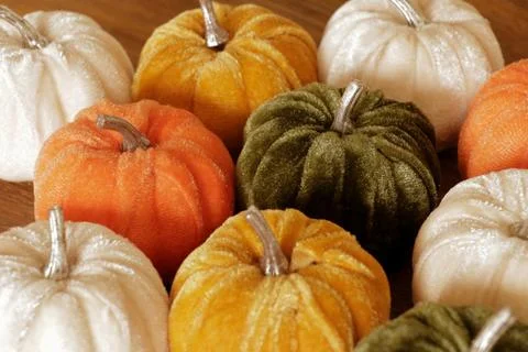 Velvet pumpkin decor Stock Photos