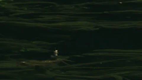 In the velvet stream –  mayfly and  algae drifting through soft green currents Stock Footage 318538360