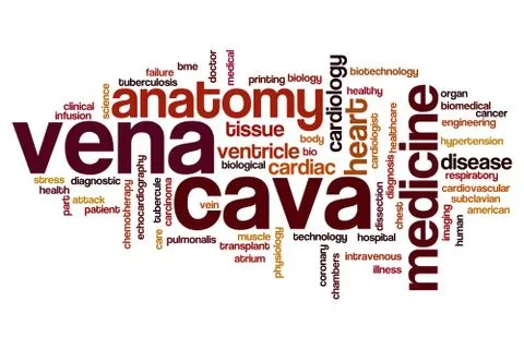 Vena cava word cloud Stock Illustration
