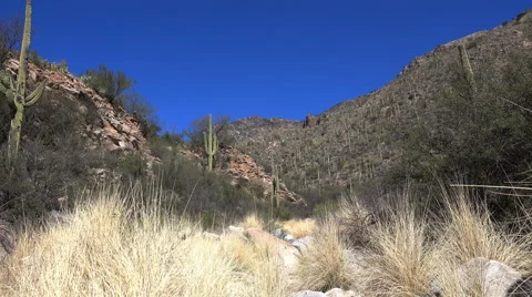 Venada Canyon Video stock 61324751