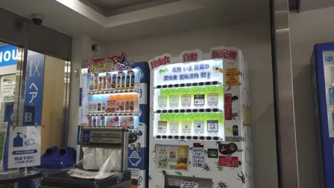 Vending machine for edible insects. Stock Footage 194357923