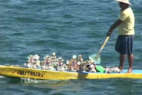 Vendor to cruise ship Video stock 8947366