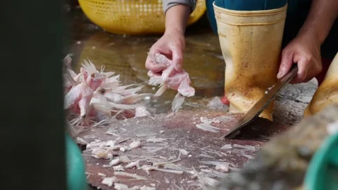 Vendor cuts fish fins using a cleaver on a wooden board while preparing seafood Stock Footage 331866266