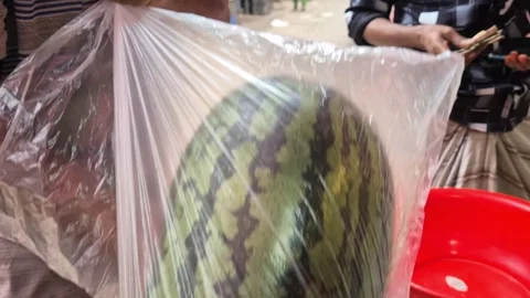 Vendor Hands Packing Fresh Watermelon In Plastic Bag For Customer Close Up Stock Footage 342266841