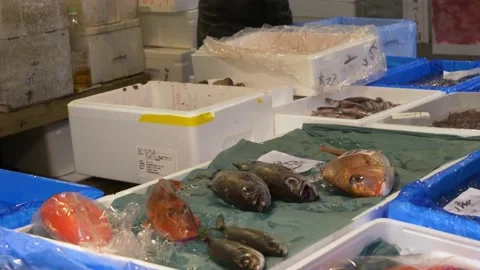 Vendor Inside The Biggest Fish Market In Tokyo, Japan Stock Footage 158993972
