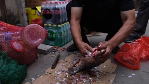 Vendor kills and cleans carp fish Stock Footage 117377673