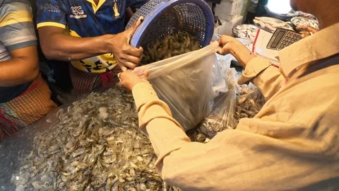 Vendor Packing  prawn Fresh at Crowded Fish Market in Bangladesh Vidéo 343143710