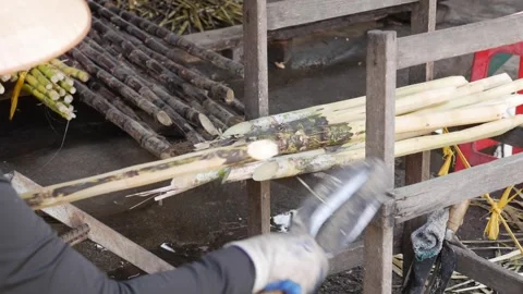 Vendor peels the outer layer from a sugarcane stalk with a knife while preparing Stock Footage 331866231