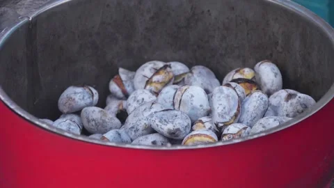 Vendor selling roasted chestnuts in a cold day slow motion Stock Footage 100348157