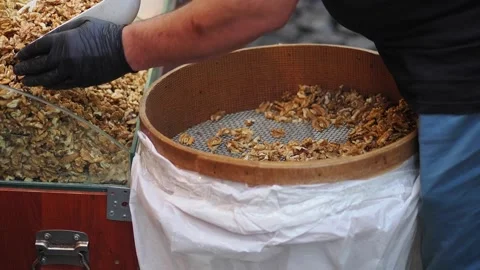 Vendor Sorting Walnuts in a Market Stall Stock Footage 341321605