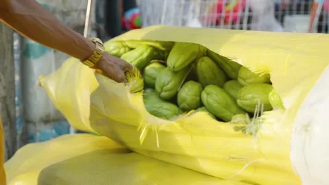 Vendor Taking Fresh Chayote Out of a Sack at Local Market Stock Footage 341535209