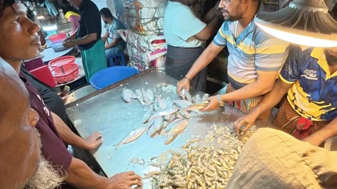 Vendor Weighing Fish on a Scale at Busy Bangladesh Fish Market Stock-Footage 343143960