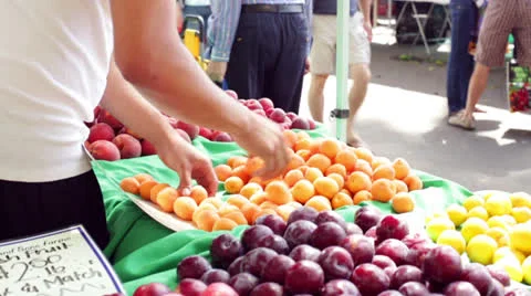 Vendor's Hands Sorting Apricots Fruit at Farmers Market Stock Footage 25132243
