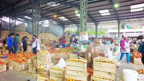 Vendors Surrounded By Boxes Of Tomato Stock Footage 88337026