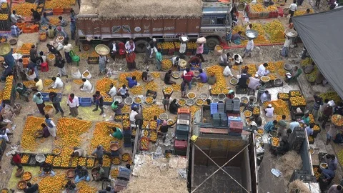 Vendors trade oranges at busy fruit market in Kolkata, India Stock Footage 85909068