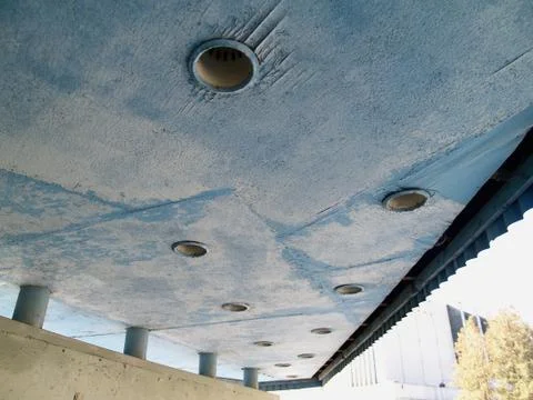 Veneer root Stock Photos