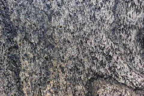 Venetian plaster. Liquid wallpaper. Background and texture of plaster. Stock Photos
