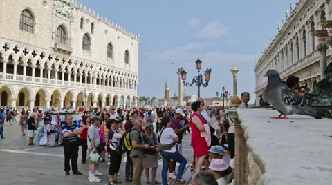 Venezia Piazza San Marco timelpse Stock Footage 39849433