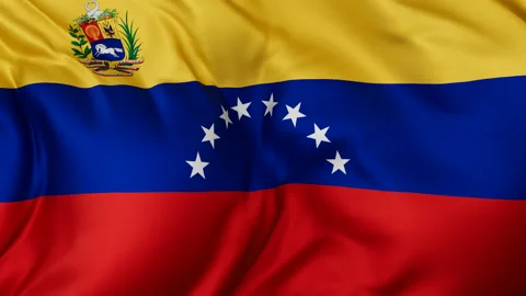 Venezuela cloth flag background loop Stock Footage 310851179